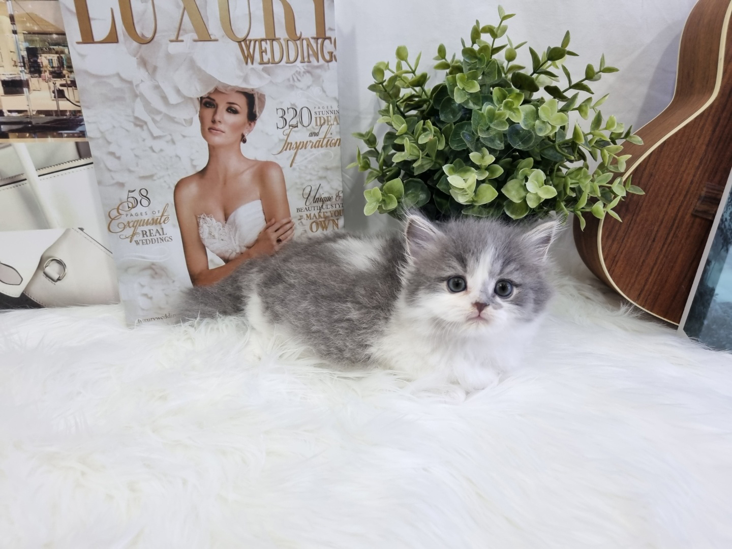 먼치킨(20만원부터)