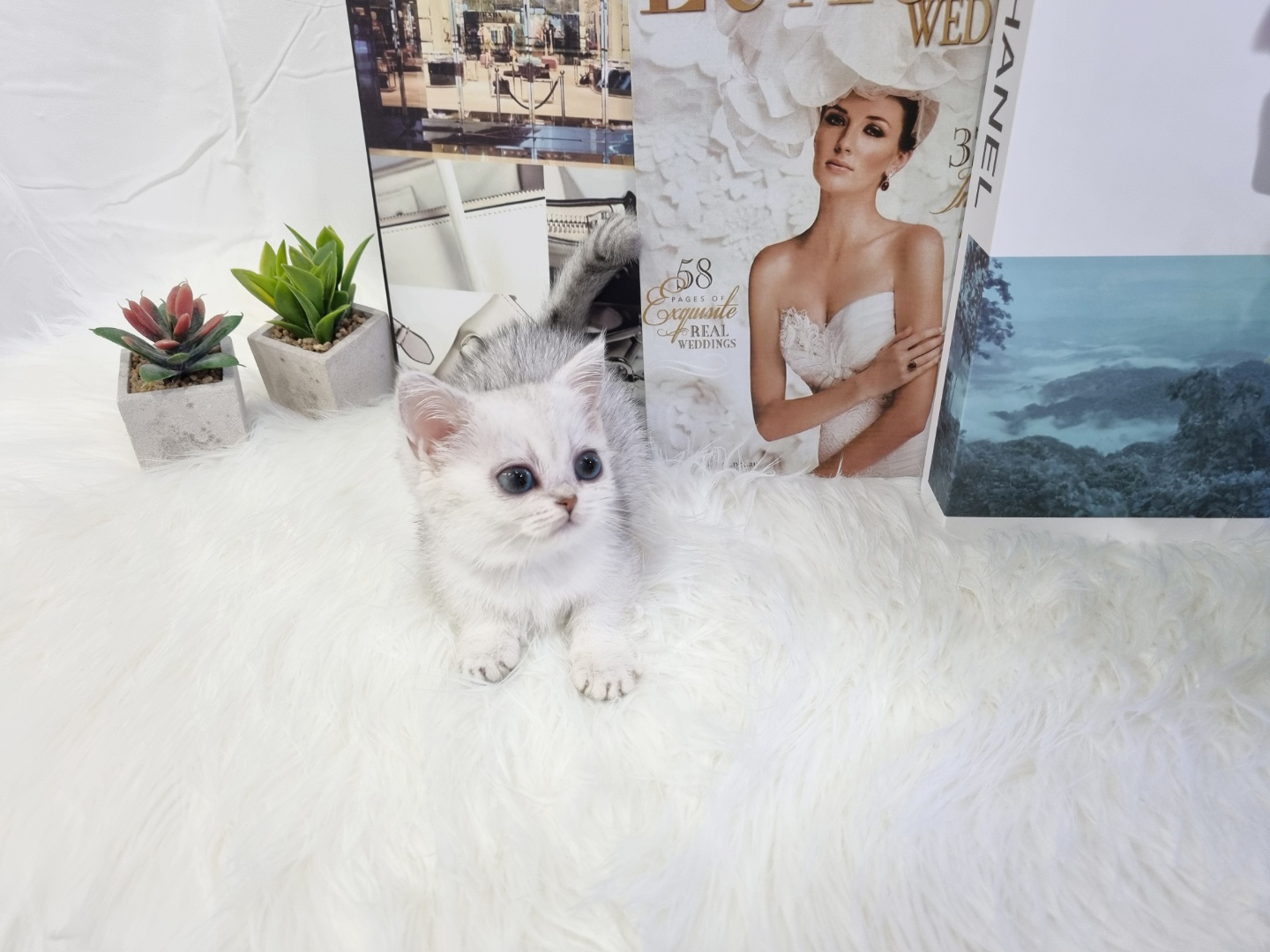 먼치킨(20만원부터)